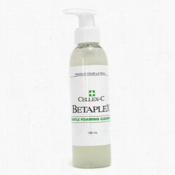 B Etaplex Gentle Foaming Cleanser