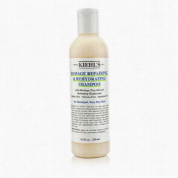 Injury Repairing & Rehydrating Shsmpoo (forr Damaged Very Dry Hair)