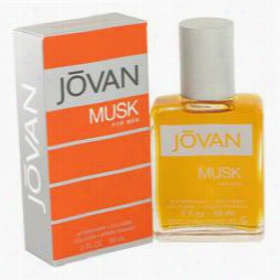 Jovan Musk Cologne By Jovan, 2 Oz After Make Smooth / Col Ogne For Men