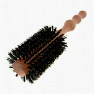 Large  5mm Rouund Brush ( Polished Mahogany Handle 65%  Boar Bristle + 35% Nylon )