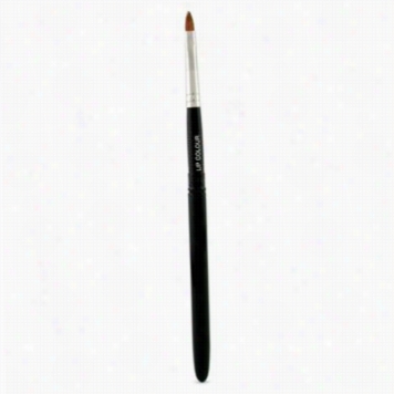 Lip Colour Brush - Draw Apart