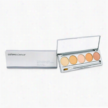 Mineral Corrector Palette  - Light To Mean