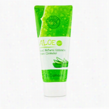 Aloe Real Natural Essence Foam Cleanser