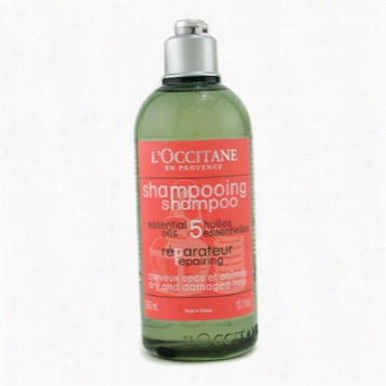 Aromachologie Repairing Shampoo ( Dry & Damaged Hair )