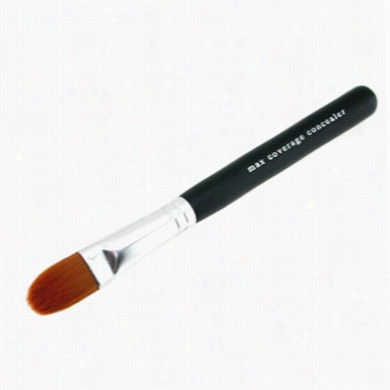 Maximum Cover Age Concealer Brusj