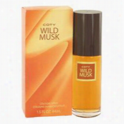 Wild Musk Erfume By Coy, 1.5 Oz Cologne Spray For Women