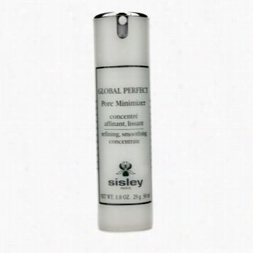 Global Perfect Pore Minimizer