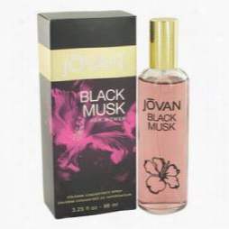 Jovan Black Musk Perfume By Jovan, 3.25 Oz Cologne Concentrate Spray Fpr Women