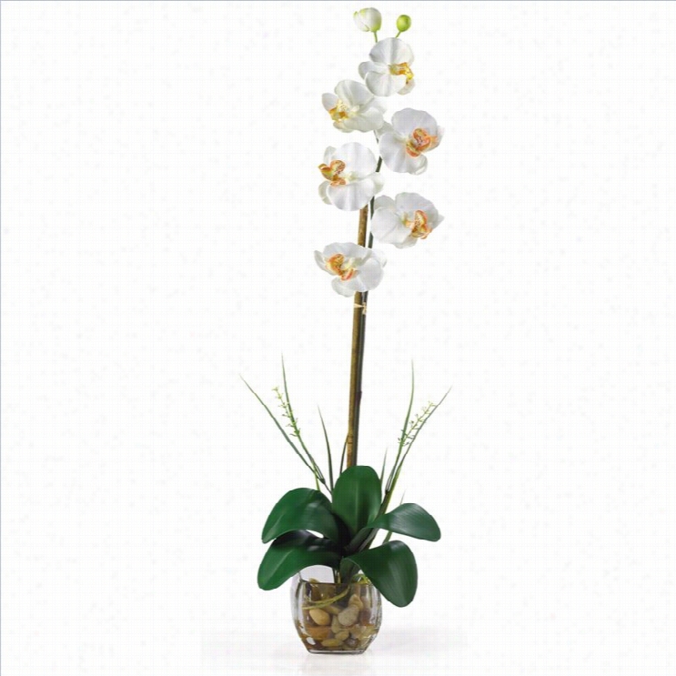 Nearly Natural Single Phalaenopsis Liquid Illusion Silk Flower Arranggement In Cream