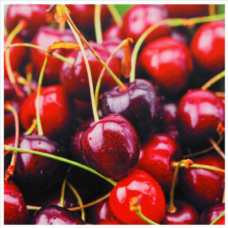 Oriental Furniture Cherries Canvas Wall Art In Multicolor