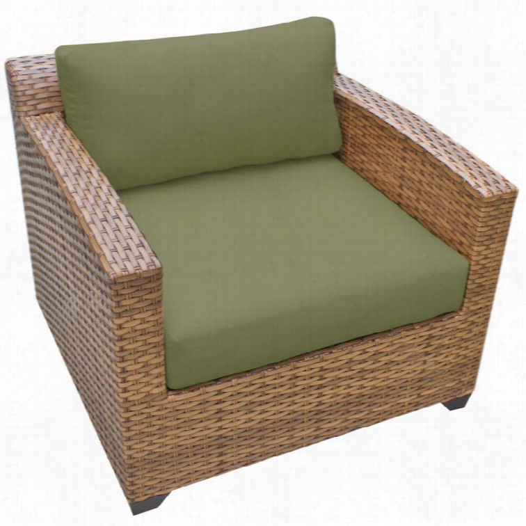 Tkc Laguna Outdoor Wicker Club Chair In Cila Ntro