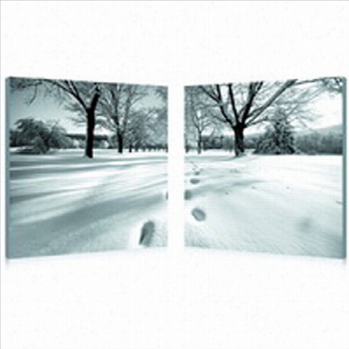 Bxaotn Studio Telltalw Trail Mounted Print Diptych In Mjlticolor