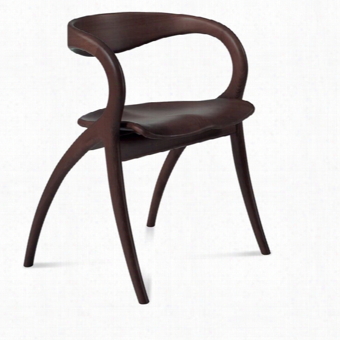 Domitalia Star Dniing Chair In Wenge Brown