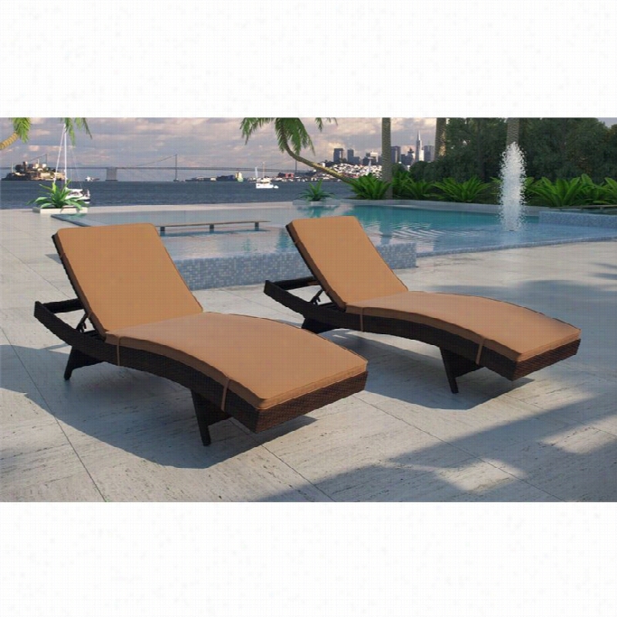 Modway Peer Atio Lounge In Brown And Mcha (set Of 2)