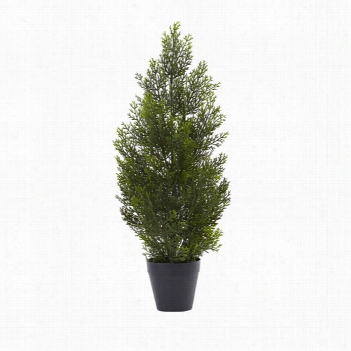 Nearly Natural 2' Mini Cedar Pine Tree (indoor-outdoor)