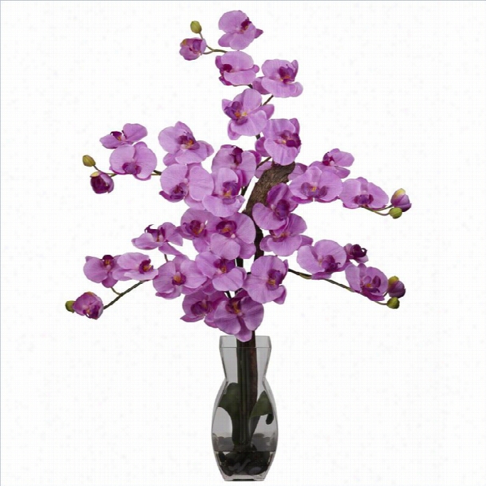 Nearly Natural Phalaenopsis Through  Vase Silk Flower Arrangement In Mauve