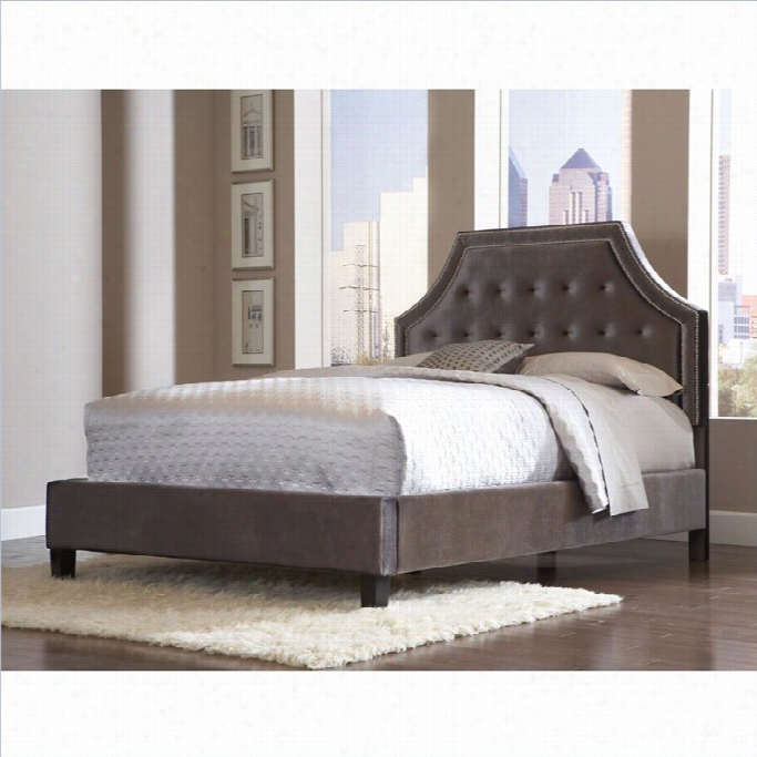 Standard Furniture  Wilshire Boulevard Bed In Grey Velvet