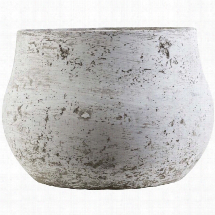 Surya Rome 8.3 X 11.6 Cement Pot In Ivory