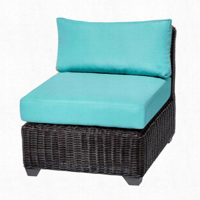 Tkc Vdnice Outdoor Wicker Chair In Aruba