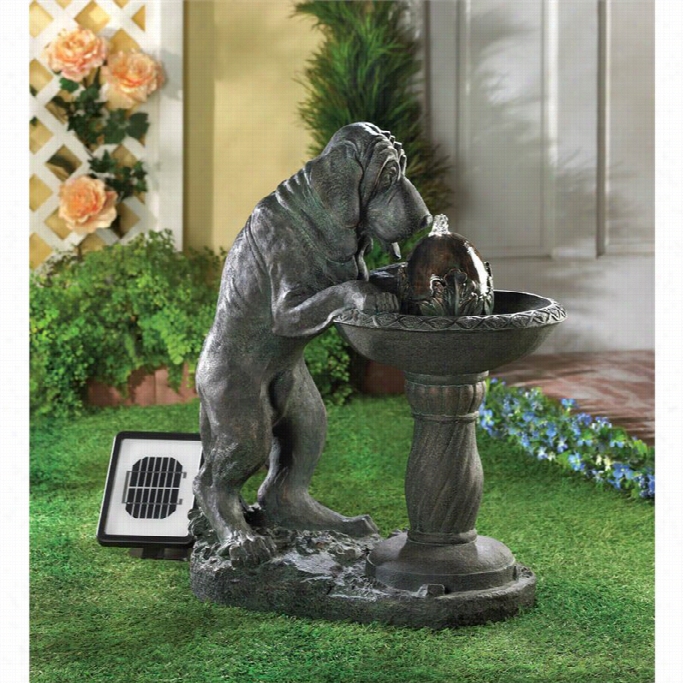 Zingz And Thingz Thirsty Dog Solar Fountain