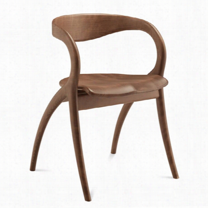 Domitalia Star Dining Chair In Walnut Broown