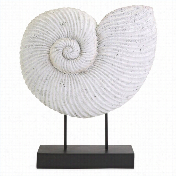 Imax Corporation Ramsey Sea Shell On Stand
