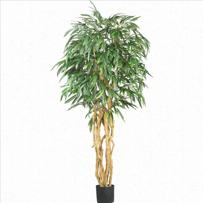 Nearly Natural 6' Weeping Ficus Silk Tree In Green