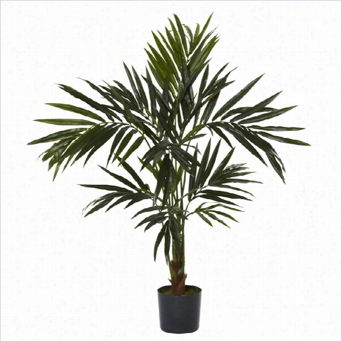 Ne Arly Natural 55' Kentia Silk Tree  In Green