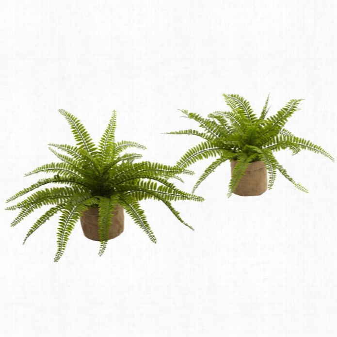 Nearly Natural Bostln Fern With Burlap Planter (set  Of 2)