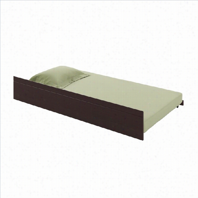 Sonax Corliving Ashland Roll-out Trundle In Dark Cappuccnio