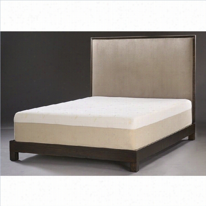 Comfort Magic Plush 14 Inch Memory Foam Mattress-full