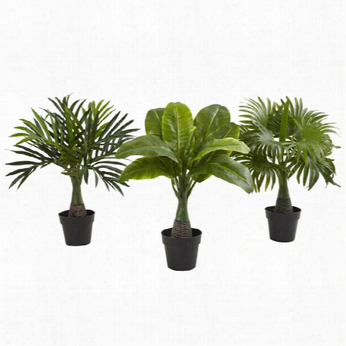 Nearly Natural Areca Fountain And Banana Palm (set Of 3)