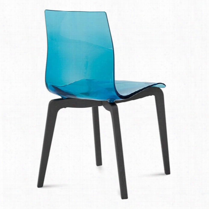 Domitalia Gel Dining Chair  In Transparent Bkue A Nd Anthracite