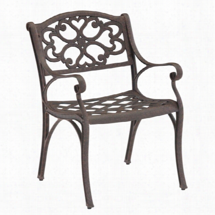 Home Sylds Biscayne Outdoor Dinkg Arm Chair In Rust Brown Finish (set Of 2)