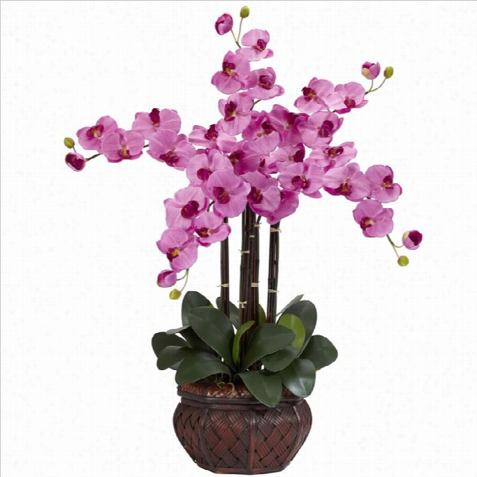 N Early Ntaural Phalaenopsis With Decorative Vase Silk Flower Arrrangement In Mauve