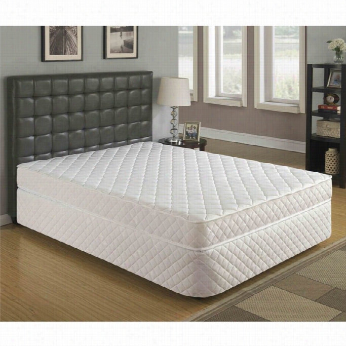 Primo Odyssey Pocket  Coi Mattress-twin