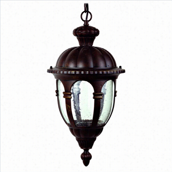 Yosemite Home Decor Merili 1 Light Hanging Exterior Lights In Black Frame With Seedy Glass