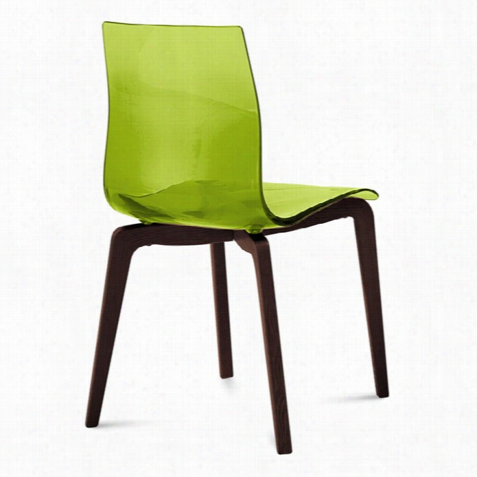 Domitalia Gel Dinnig Chair In Transparent Green And Chocolate