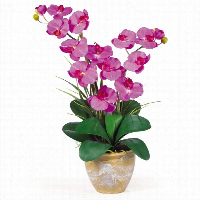 Nearly Natural Double Phalaenopsis Silk Orchid Fower Arrangement In Orchid