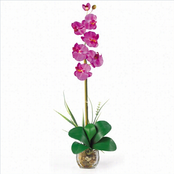 Nearly Natural Single Phalaenopsi Liquid  Illusion Silk Flower Arrangement In Orchid