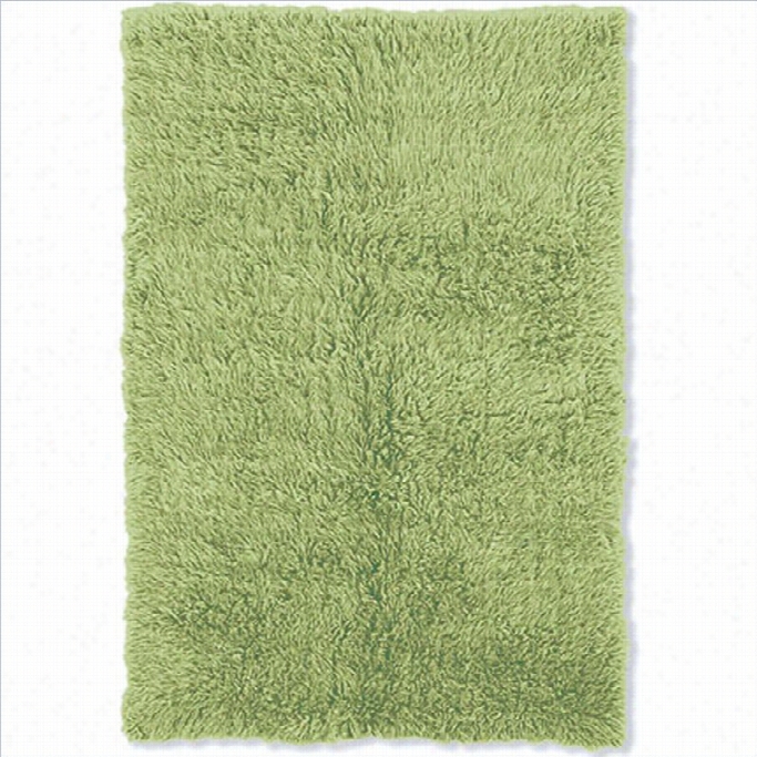 Linon Flokati Retcangular Rug  In Lime Gree-2'4 X 4'8