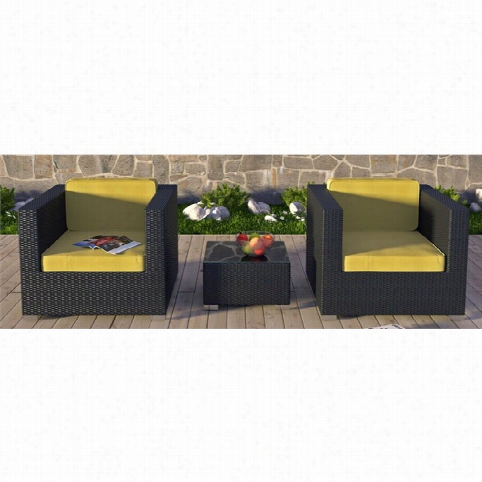 Modway Burrow 3 Pice Exterior Sofa Prescribe In Espresso And Peridot