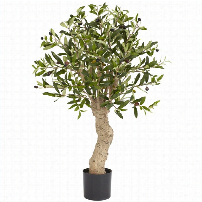 Nearly Natural 2.5' Olive Silk Tree In Green