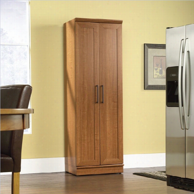 Sauder Homeplus Storage Cabinet In Sienna Oak Finish