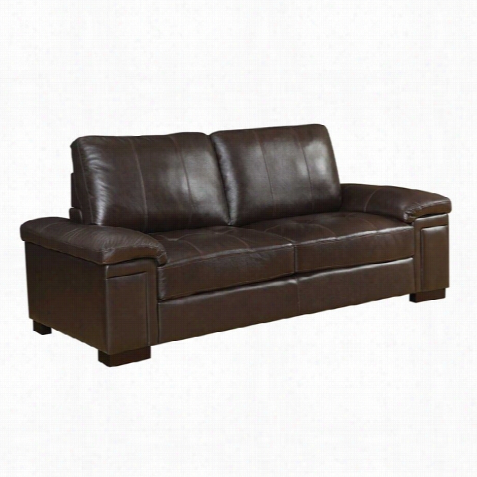 Coaster Winfred Leatther Sofa In Dark Brown