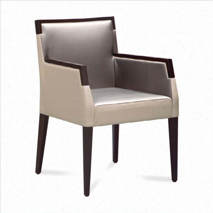 Domitalia Ariel-pi Farbic Arm Chair In Gray