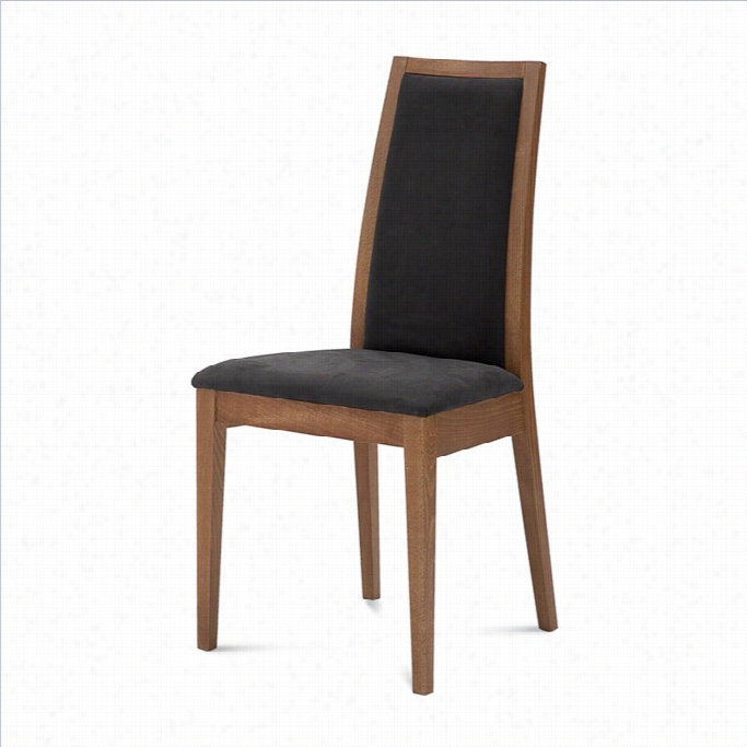 Domital Ia Topic Dining Chair In Black And Walnut Brown