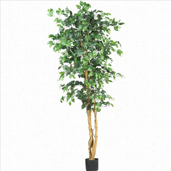 Nearly Natural 6' Ficus Silk Tree In Green