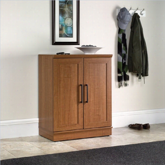 Sauder Homeplus Base Cabinet In Sienna Oak Finish