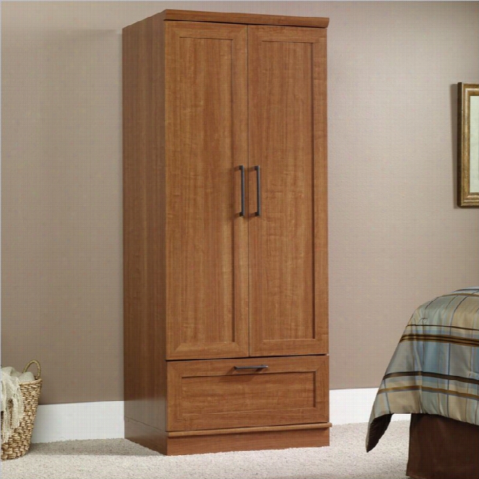 Sauder Homeplus Warddrobe Armoire Inn Sienna Oak Finish